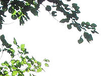 (R) Výřez, f/8.4, 1/90 s, ISO: 80, Ohnisková vzdálenost (EQ35mm): 35 mm 