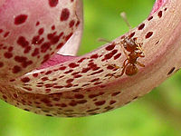 (R) Výřez, f/3.2, 1/90 s, ISO: 80, Ohnisková vzdálenost (EQ35mm): 35 mm 