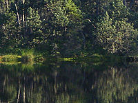 (R) Výřez, f/4.0, 1/220 s, ISO: 100, Ohnisková vzdálenost (EQ35mm): 50 mm 