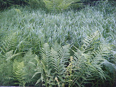 (R) Originál, f/3.7, 1/90 s, ISO: 800, Ohnisková vzdálenost (EQ35mm): 38 mm 