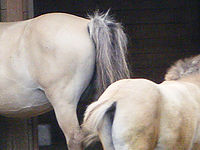 (R) Výřez, f/4.0, 1/200 s, ISO: 200, Ohnisková vzdálenost (EQ35mm): 87 mm 