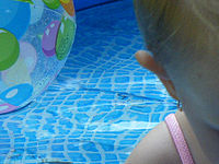 (R) Výřez, f/3.7, 1/100 s, ISO: 100, Ohnisková vzdálenost (EQ35mm): 38 mm 