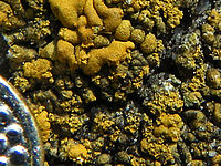 (R) Výřez, f/4.9, 1/320 s, ISO: 64, Ohnisková vzdálenost (EQ35mm): 38 mm 