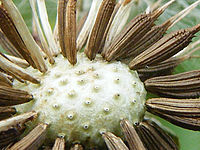 (R) Výřez, f/3.7, 1/280 s, ISO: 100, Ohnisková vzdálenost (EQ35mm): 38 mm 