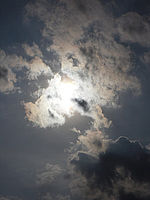 Náhled, f/14.2, 1/2000 s, ISO: 80, Ohnisková vzdálenost (EQ35mm): 105 mm 