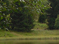 (R) Výřez, f/7.6, 1/53 s, ISO: 80, Ohnisková vzdálenost (EQ35mm): 35 mm 