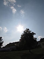 Náhled, f/6.3, 1/1250 s, ISO: 80, Ohnisková vzdálenost: 5.00 mm | (c) Petr Koritina Náhled, f/6.3, 1/1250 s, ISO: 80, Ohnisková vzdálenost: 5.00 mm