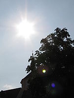 Náhled, f/7.1, 1/1250 s, ISO: 80, Ohnisková vzdálenost: 14.59 mm | (c) Petr Koritina Náhled, f/7.1, 1/1250 s, ISO: 80, Ohnisková vzdálenost: 14.59 mm