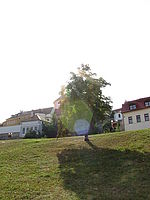 Náhled, f/8.0, 1/100 s, ISO: 80, Ohnisková vzdálenost: 5.00 mm | (c) Petr Koritina Náhled, f/8.0, 1/100 s, ISO: 80, Ohnisková vzdálenost: 5.00 mm