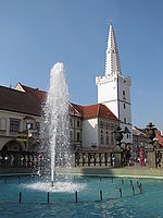 Náhled | (c) Petr Koritina Náhled