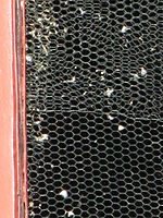 (R) Výřez, f/5.7, 1/800 s, ISO: 400, Ohnisková vzdálenost: 100.00 mm 