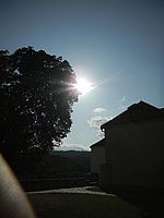 Náhled, f/7.9, 1/1377 s, ISO: 80, Ohnisková vzdálenost (EQ35mm): 28 mm 