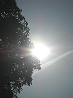 Náhled, f/11.6, 1/1500 s, ISO: 80, Ohnisková vzdálenost (EQ35mm): 140 mm 