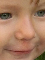 (R) Výřez, f/5.5, 1/424 s, ISO: 400, Ohnisková vzdálenost (EQ35mm): 123 mm 