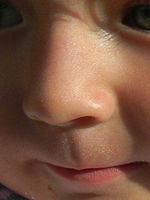 (R) Výřez, f/7.9, 1/260 s, ISO: 80, Ohnisková vzdálenost (EQ35mm): 28 mm 