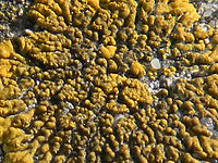 (R) Výřez, f/5.8, 1/262 s, ISO: 80, Ohnisková vzdálenost (EQ35mm): 140 mm 