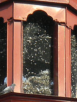 (R) Výřez, f/5.8, 1/250 s, ISO: 80, Ohnisková vzdálenost (EQ35mm): 140 mm 