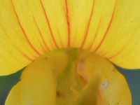 (R) Výřez, f/2.7, 1/160 s, ISO: 100, Ohnisková vzdálenost (EQ35mm): 28 mm 