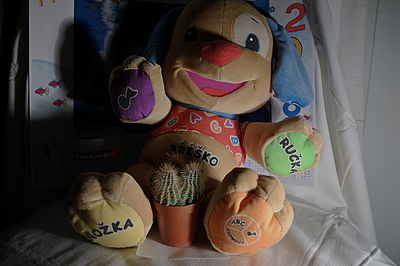 Originál, HDR1, f/4.0,ISO: 100, Ohnisková vzdálenost (EQ35mm): 31 mm 