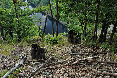 Obrázek č. 15 - Nikon D3000, objektiv AF-S 16-85mm f/3,5-5,6 G VR, čas 1/30s, clona f/8, ISO 400, ko