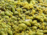 FZ38: (R) Výřez, Clona: 2.8, 0.3 s, ISO: 80, Ohnisková vzdálenost (EQ35mm): 27 mm 