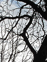 (R) Výřez, Clona: 4.5, 1/2000 s, ISO: 100, Ohnisková vzdálenost (EQ35mm): 28 mm 