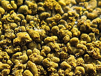 (R) Výřez, Clona: 4.0, 1/400 s, ISO: 100, Ohnisková vzdálenost (EQ35mm): 28 mm 