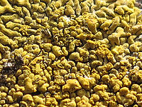 (R) Výřez, Clona: 4.0, 1/500 s, ISO: 100, Ohnisková vzdálenost (EQ35mm): 49 mm 