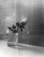 Foto: Josef Sudek