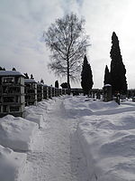 f/5.00 mm, Clona: 8.3, 1/500, ISO: 64