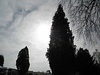 f/5.00 mm, Clona: 8.3, 1/1000, ISO: 64