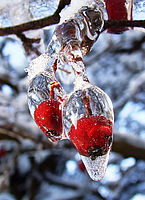 Křišťálová zima