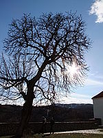 Náhled, 1/450 s, f/7.1, ISO: 100, Ohnisková vzdálenost: 7.10 mm 