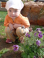 Náhled, 1/250 s, f/3.8, ISO: 80, Ohnisková vzdálenost (EQ35mm): 52 mm 