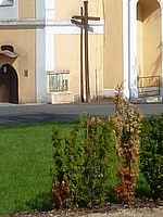 (R) Výřezy, 1/400 s, f/5.0, ISO: 80, Ohnisková vzdálenost (EQ35mm): 25 mm 