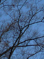 (R) Výřezy, 1/400 s, f/5.0, ISO: 80, Ohnisková vzdálenost (EQ35mm): 25 mm 