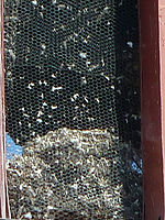 (R) Výřezy, 1/250 s, f/4.9, ISO: 80, Ohnisková vzdálenost (EQ35mm): 300 mm 