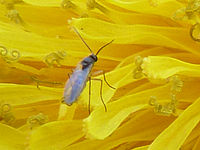 (R) Výřezy, 1/30 s, f/6.3, ISO: 160, Ohnisková vzdálenost (EQ35mm): 25 mm 