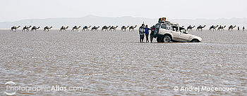 Jeep zapadlý do solného jezera, Dallol, Danakilská proláklina