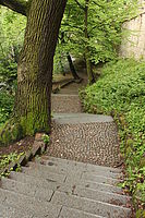 Obrázek č. 13 - Canon EOS 550D + EF 18-55mm f/3,5-5,6 IS, citlivost ISO 6400, čas 1/100s a clona f/1