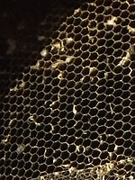 (R) Výřez, FinePix HS10 HS11, Clona: 5.6; Doba expozice: 1/400 s; ISO: 400, ohnisko 126.00 mm | (c) Petr Koritina (R) Výřez, FinePix HS10 HS11, Clona: 5.6; Doba expozice: 1/400 s; ISO: 400, ohnisko 126.00 mm