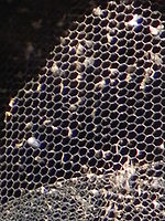 (R) Výřez, COOLPIX P100 , Clona: 6.3; Doba expozice: 1/360 s; ISO: 400, ohnisko 120.00 mm | (c) Petr Koritina (R) Výřez, COOLPIX P100 , Clona: 6.3; Doba expozice: 1/360 s; ISO: 400, ohnisko 120.00 mm