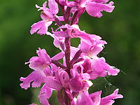 (R) Originál, FinePix HS10 HS11, Clona: 4.5; Doba expozice: 1/170 s; ISO: 100, ohnisko 22.10 mm | (c) Petr Koritina (R) Originál, FinePix HS10 HS11, Clona: 4.5; Doba expozice: 1/170 s; ISO: 100, ohnisko 22.10 mm