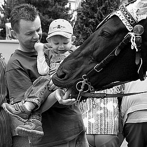 Když se zamiluje kůň