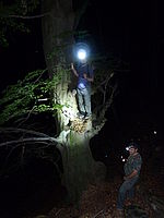 Náhled, F3.3; 1.0 s; ISO: 320, Ohnisková vzdálenost (EQ35mm): 25 mm 