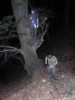 Náhled, F3.3; 1/30 s; ISO: 1600, Ohnisková vzdálenost (EQ35mm): 25 mm 