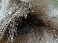 Výřez (R), F3.7; 1/250 s; ISO: 250, Ohnisková vzdálenost (EQ35mm): 42 mm 