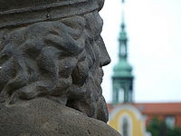 Náhled, F4.9; 1/125 s; ISO: 100, Ohnisková vzdálenost (EQ35mm): 300 mm 