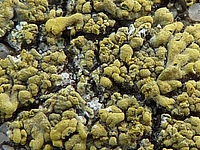 Výřez (R), F3.3; 1/80 s; ISO: 80, Ohnisková vzdálenost (EQ35mm): 27 mm 