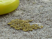 Výřez (R), F4.9; 1/125 s; ISO: 160, Ohnisková vzdálenost (EQ35mm): 300 mm 